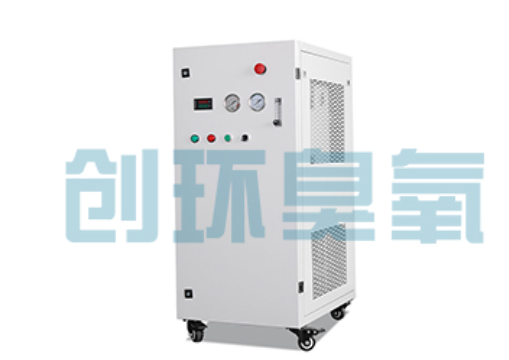 普陀石斑鱼养殖水质调控完整指南：臭氧发生器配置与操作步骤