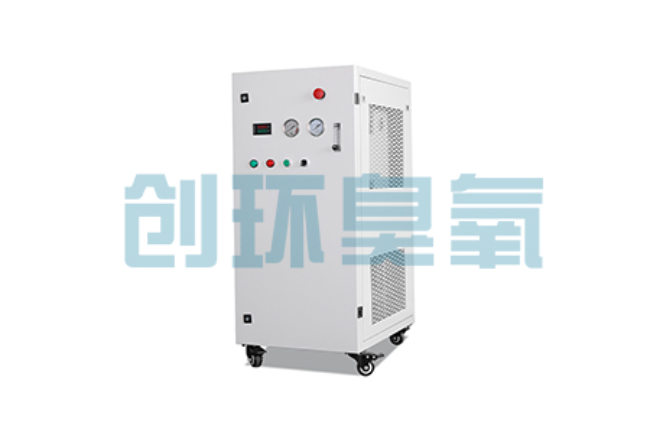 普陀比传统换水更高效？臭氧发生器在石斑鱼养殖中的水质净化原理解析